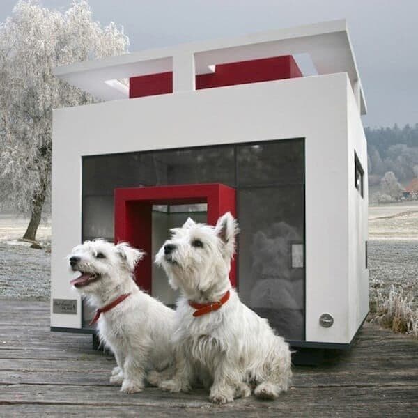 Dog Mansion Cubix