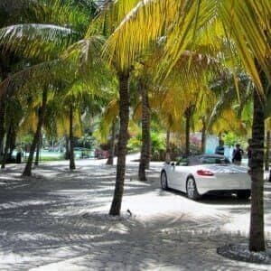 Some Porsches spotted in the wild at the El Dorado Royale Spa Resort