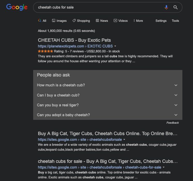 illegal cheetah sales google online